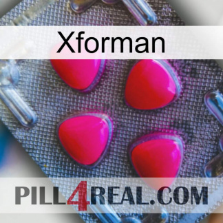 Xforman 13